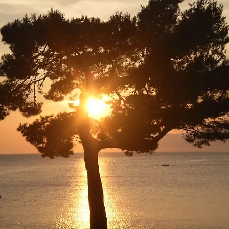 アパート Mise マカルスカ