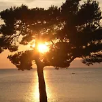 Apartment Mise Makarska